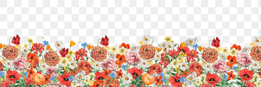 Colorful Summer flowers png border, transparent background