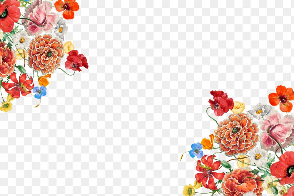 Red Summer flower png border, transparent background