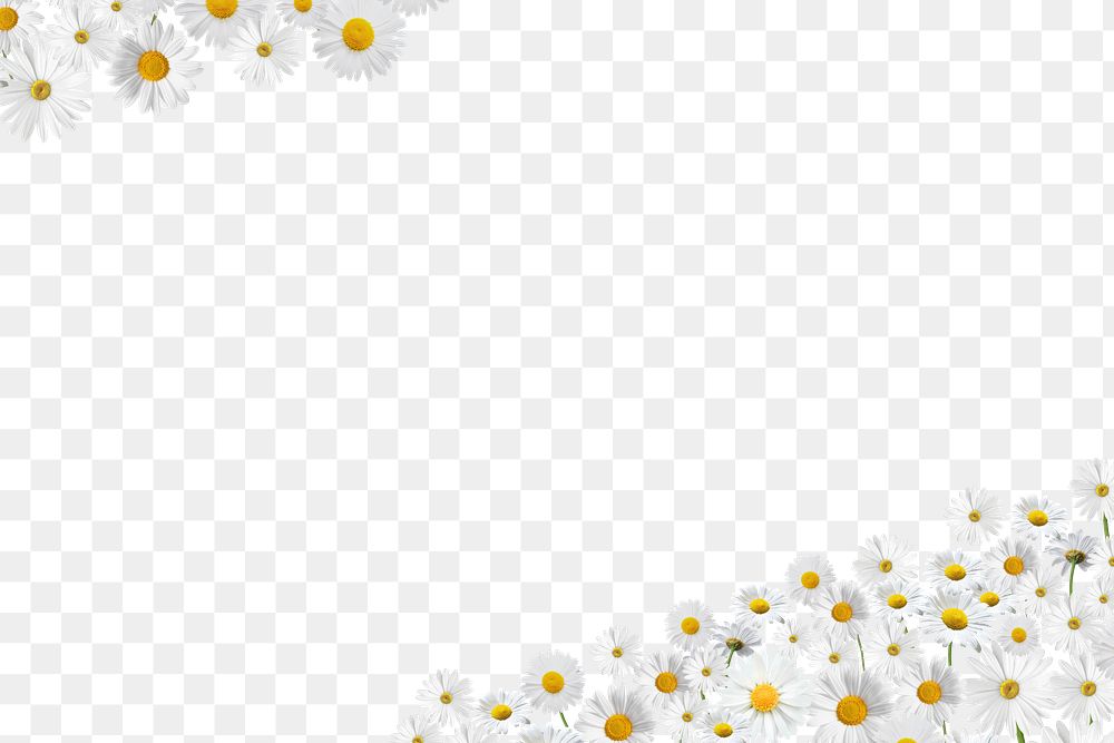 Aesthetic daisy flower png border, transparent background