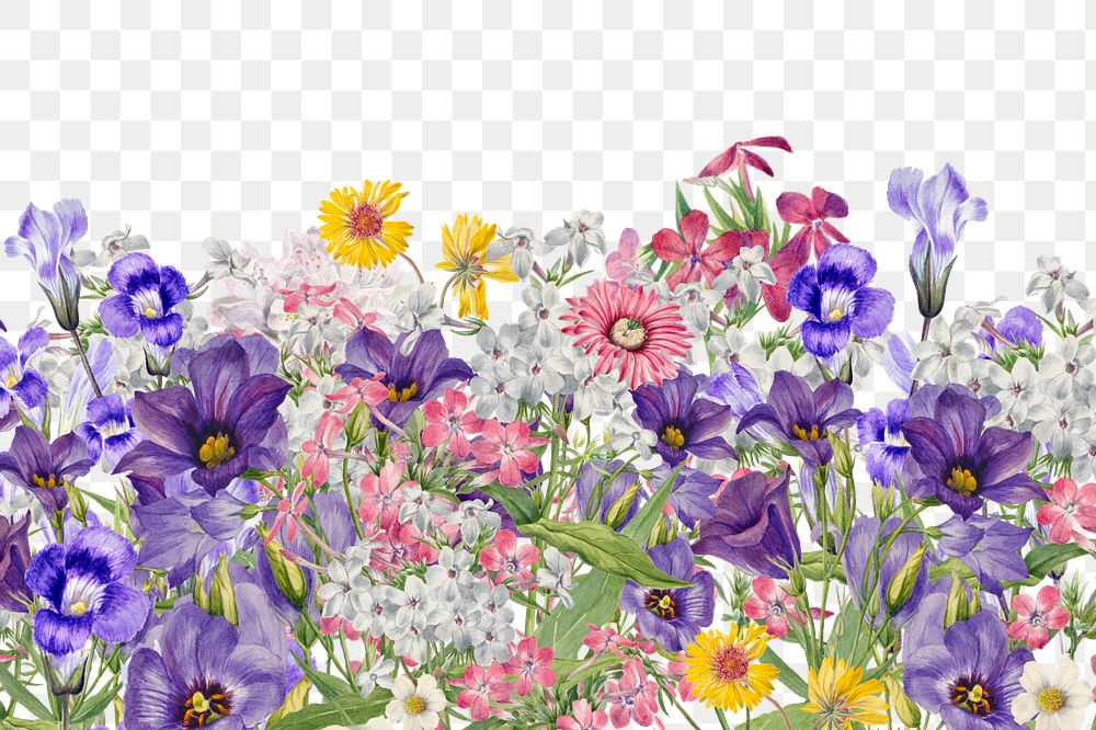 Aesthetic purple flowers png border, transparent background