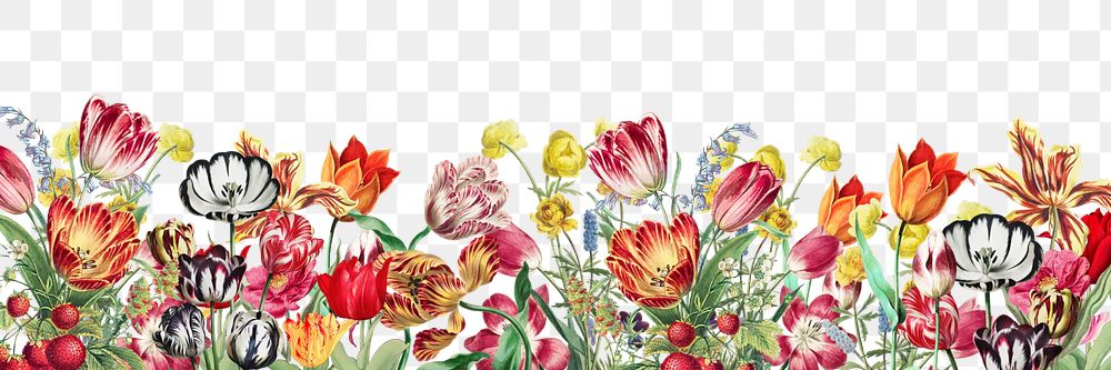 Colorful exotic flowers png border, transparent background