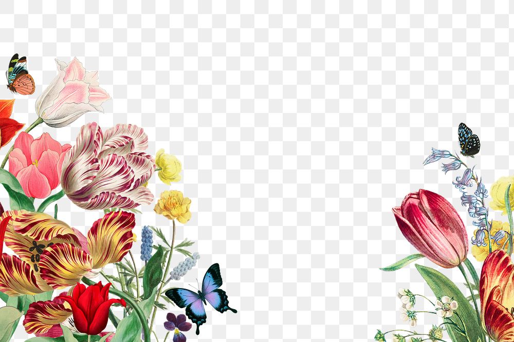 Colorful exotic flowers png border, transparent background