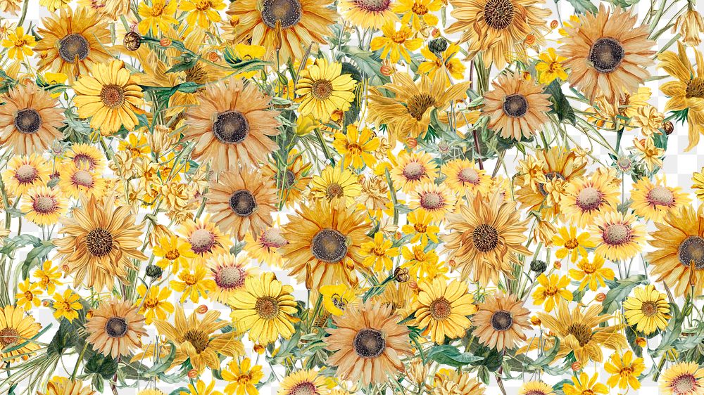 Yellow Spring flowers png aesthetic botanical, transparent background