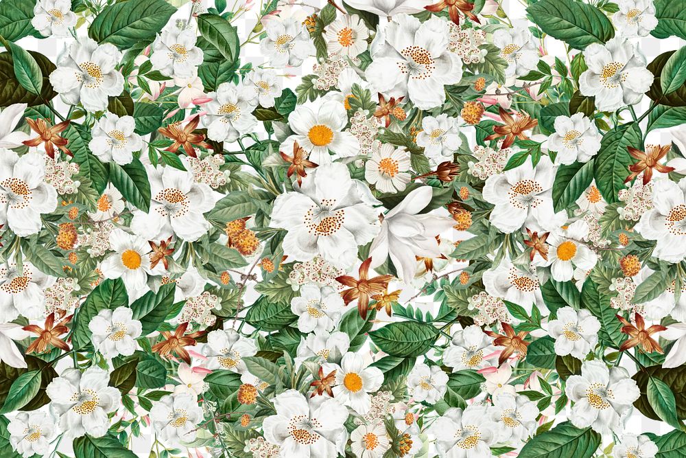 White flowers png vintage border, transparent background
