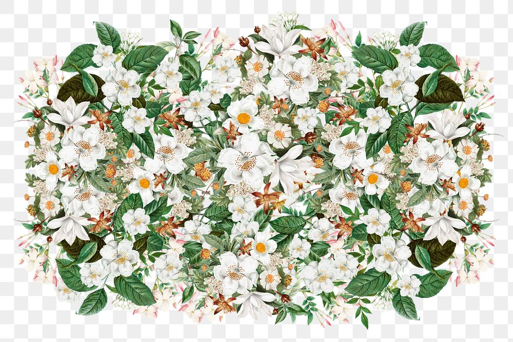 Jasmine flower png, Spring floral collage art on transparent background