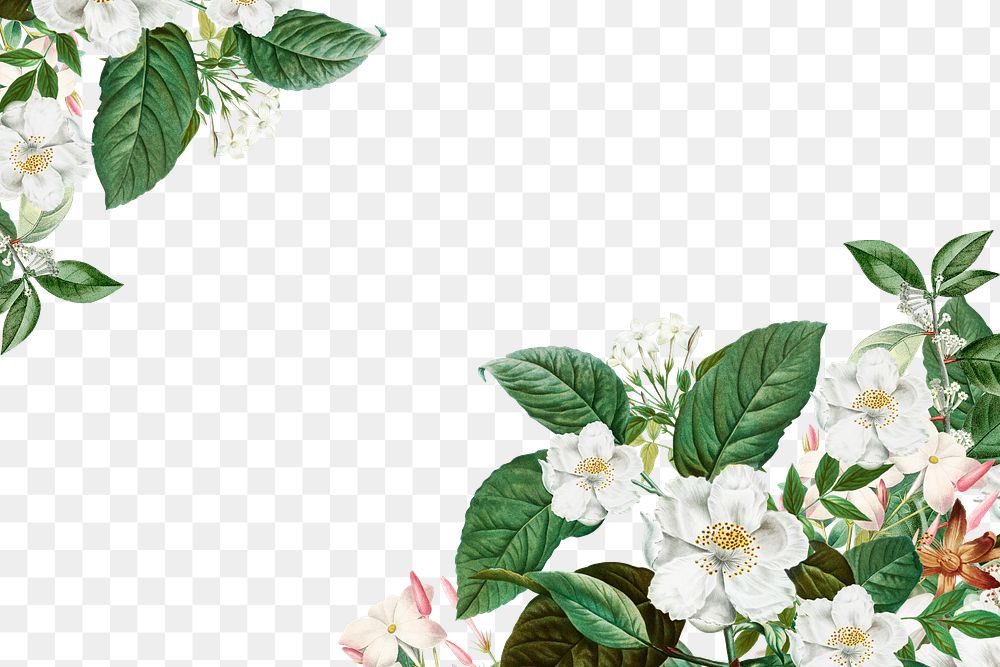 White vintage flowers png border, transparent background