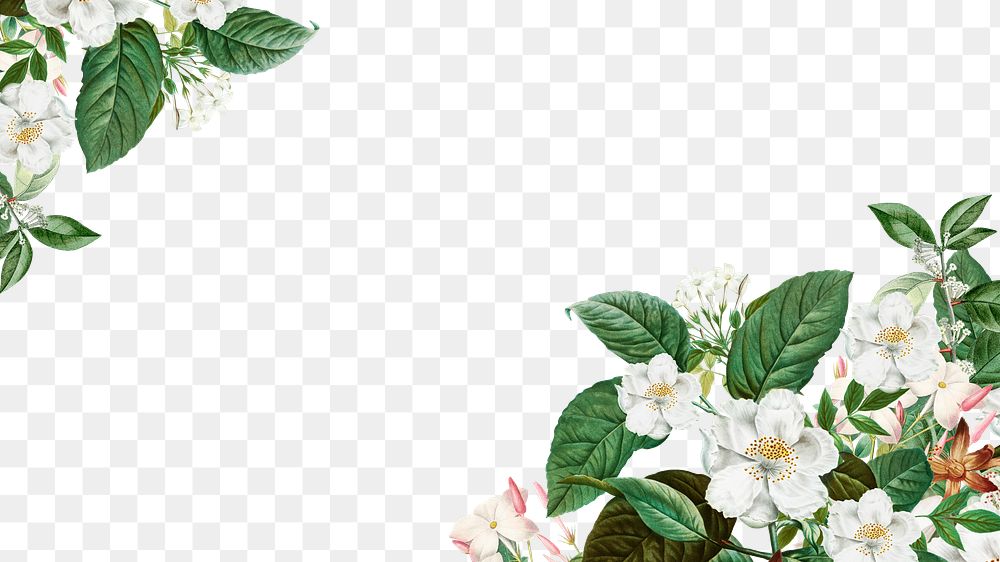 White vintage flowers png border, transparent background