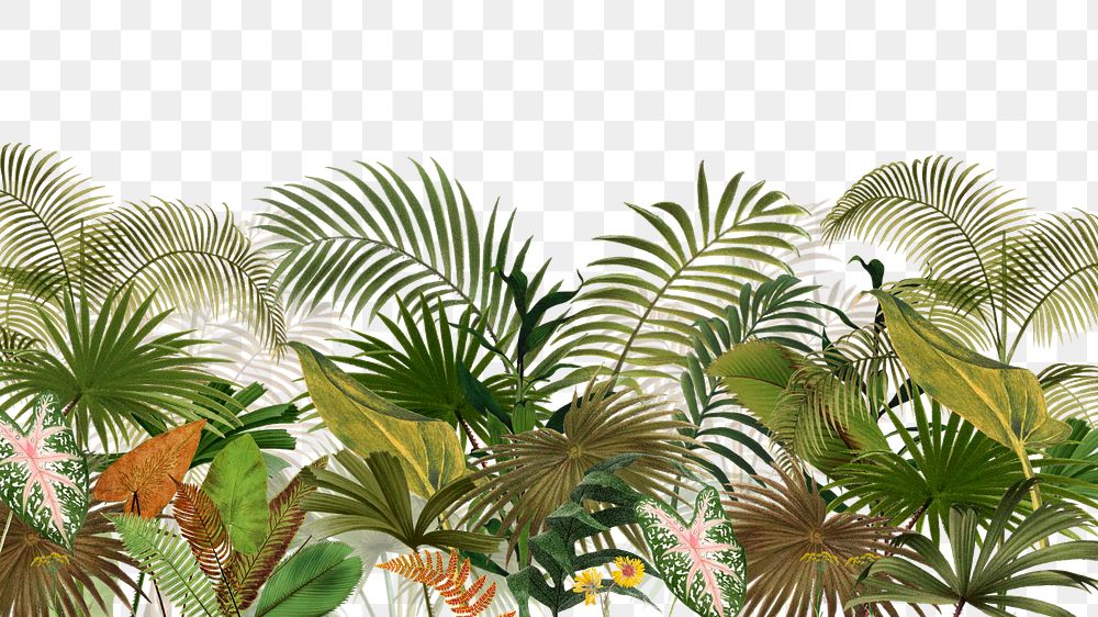 Tropical border png palm trees, transparent background