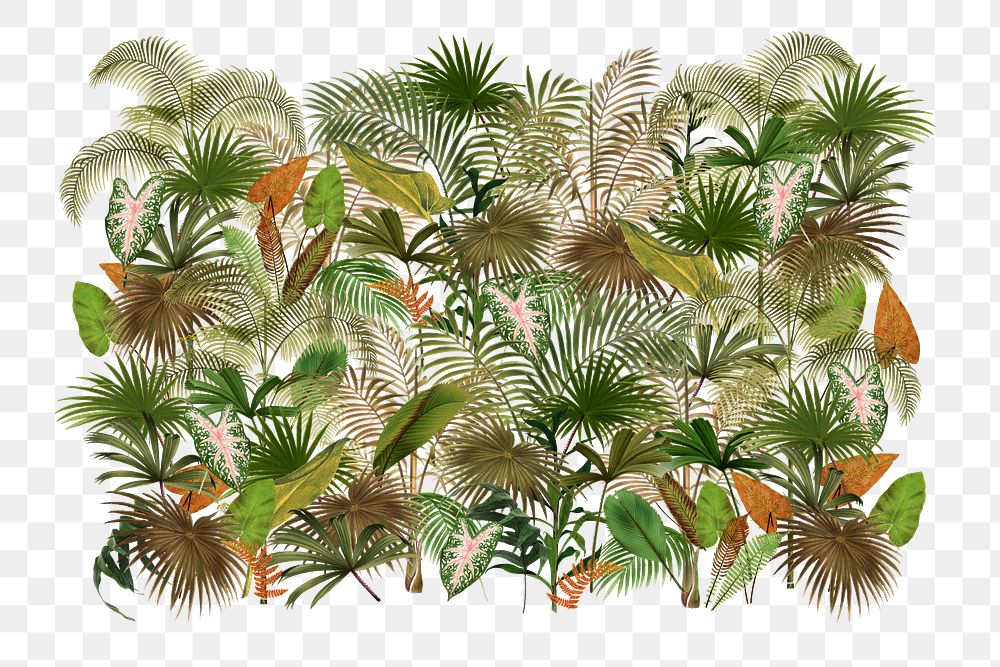 Tropical palm trees png, botanical collage art, transparent background