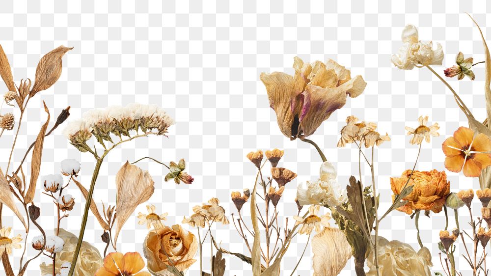 Autumn flower bordre png seasonal botanical, transparent background