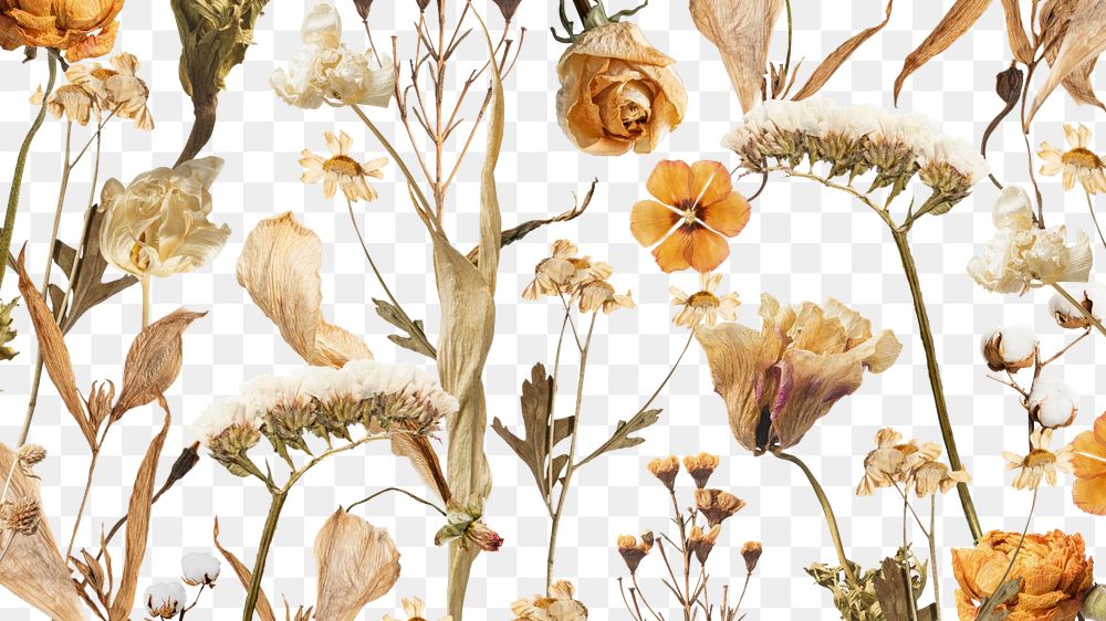 Aesthetic Autumn flower png seasonal botanical, transparent background