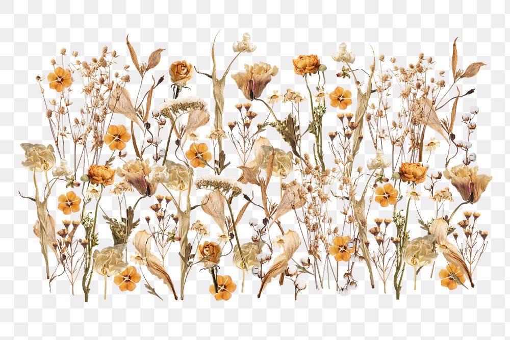 Autumn aesthetic png flower branch collage art on transparent background