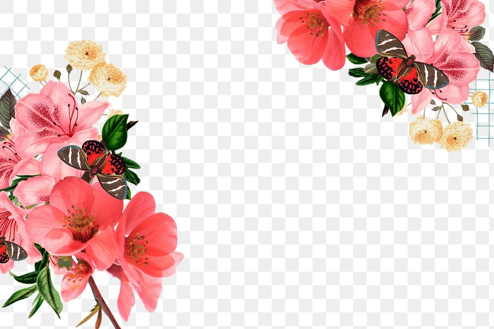 Cherry blossom flower png border, transparent background