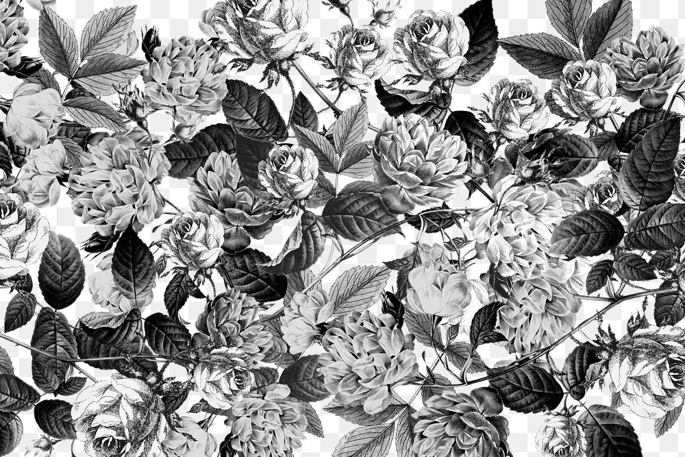 Black flowers png vintage botanical, transparent background