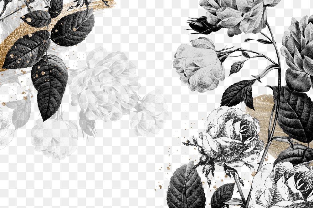 Vintage flower png border, black and white, transparent background