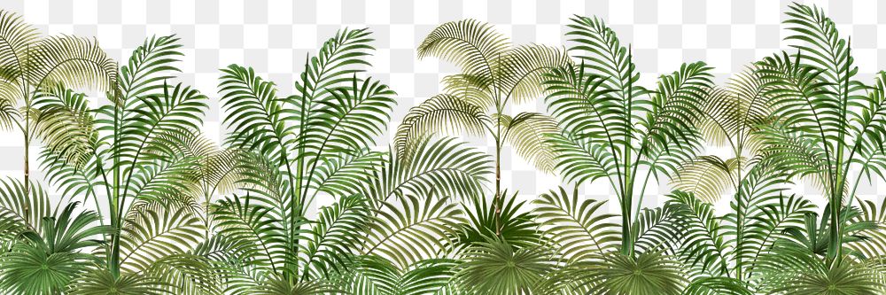 Palm trees png tropical, transparent background