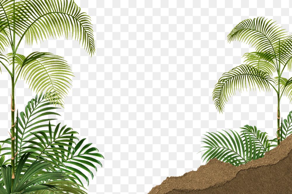 Tropical palm trees png border, ripped paper, transparent background