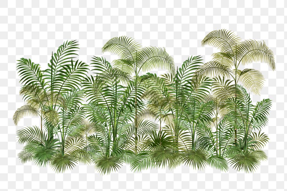 Tropical palm trees png, botanical collage art, transparent background