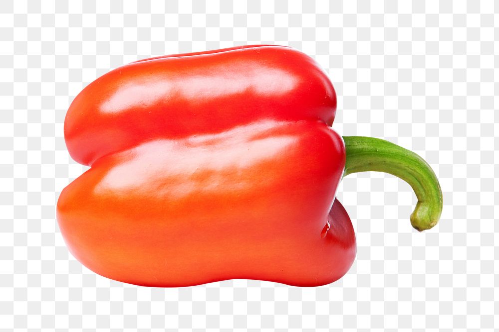 Bell pepper png collage element on transparent background