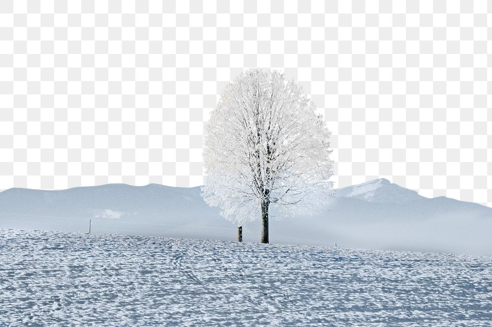 PNG Winter lone tree border, transparent background