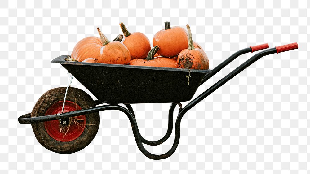 Pumpkins wheelbarrow png, healthy food, transparent background