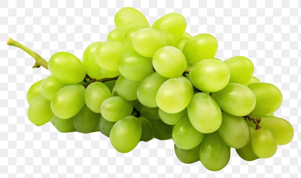 PNG Green bunch grape grapes fruit plant. AI generated Image by rawpixel.