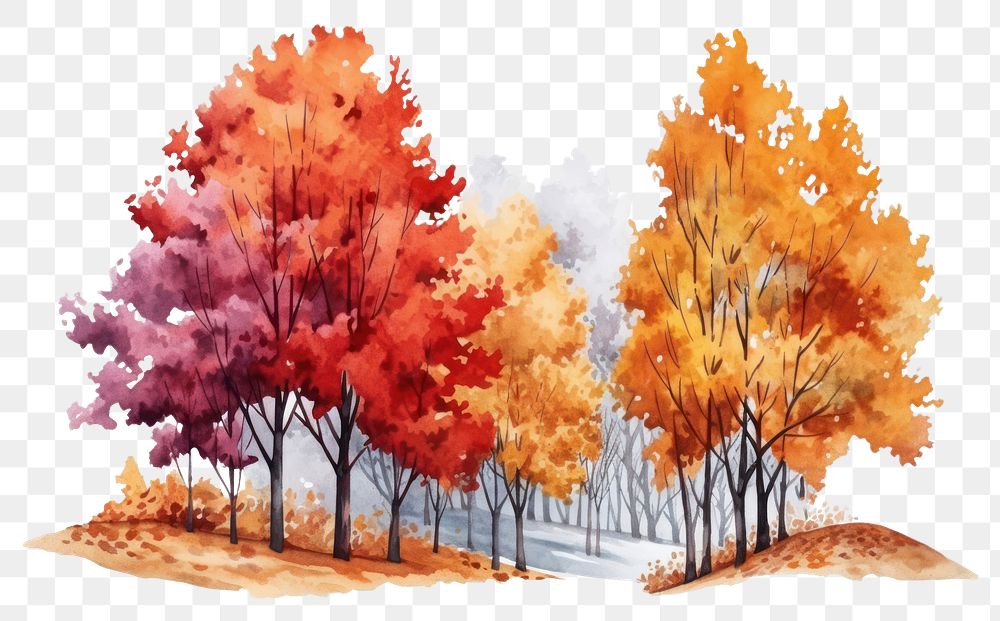 PNG Colorful autumn maple trees forest land landscape. 
