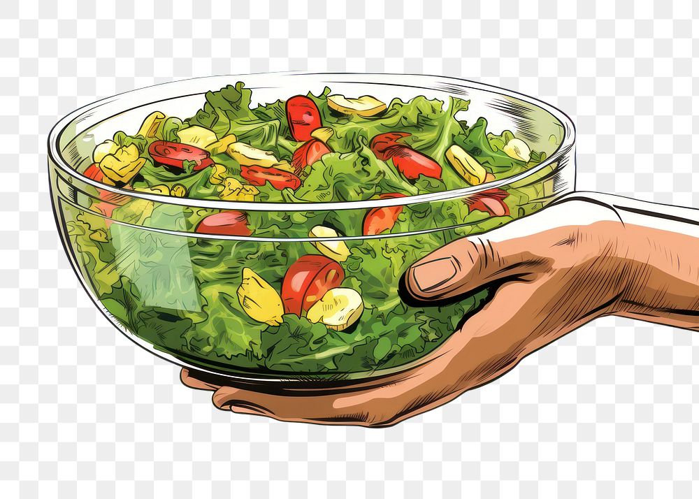 PNG Hand hold salad bowl vegetable freshness lettuce. 