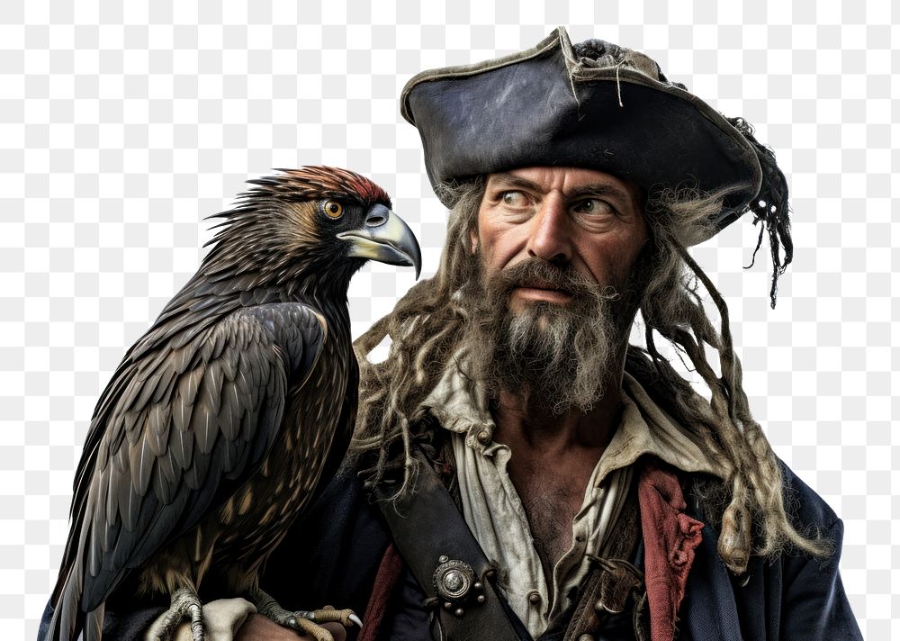 PNG Pirate bird animal adult. AI generated Image by rawpixel.