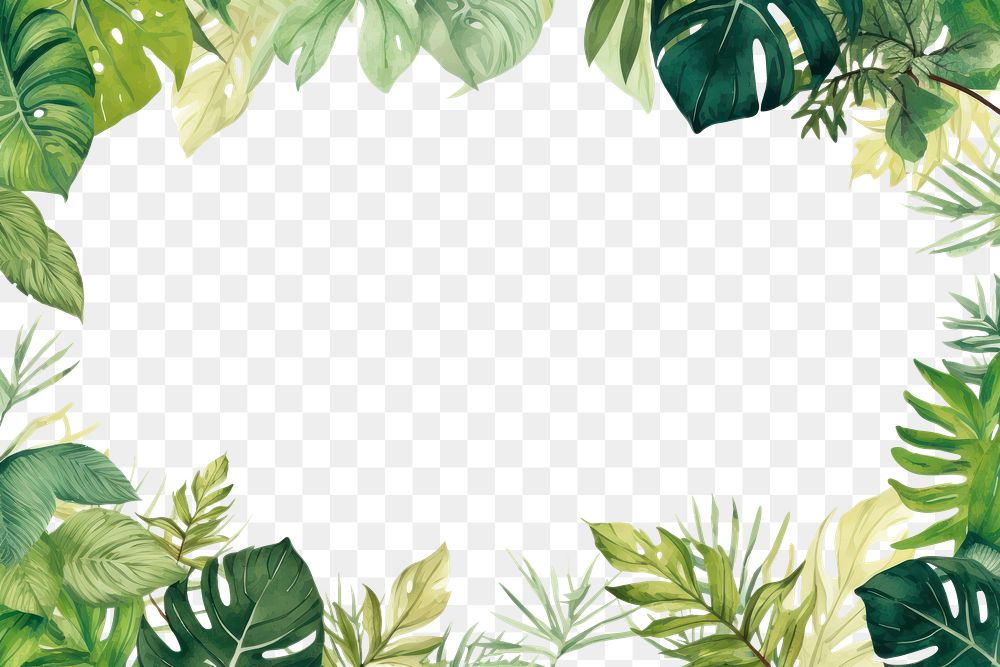 PNG Plant leaf backgrounds outdoors. AI generated Image by rawpixel.