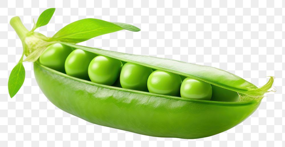 PNG  Green pea vegetable plant food. AI generated Image by rawpixel.
