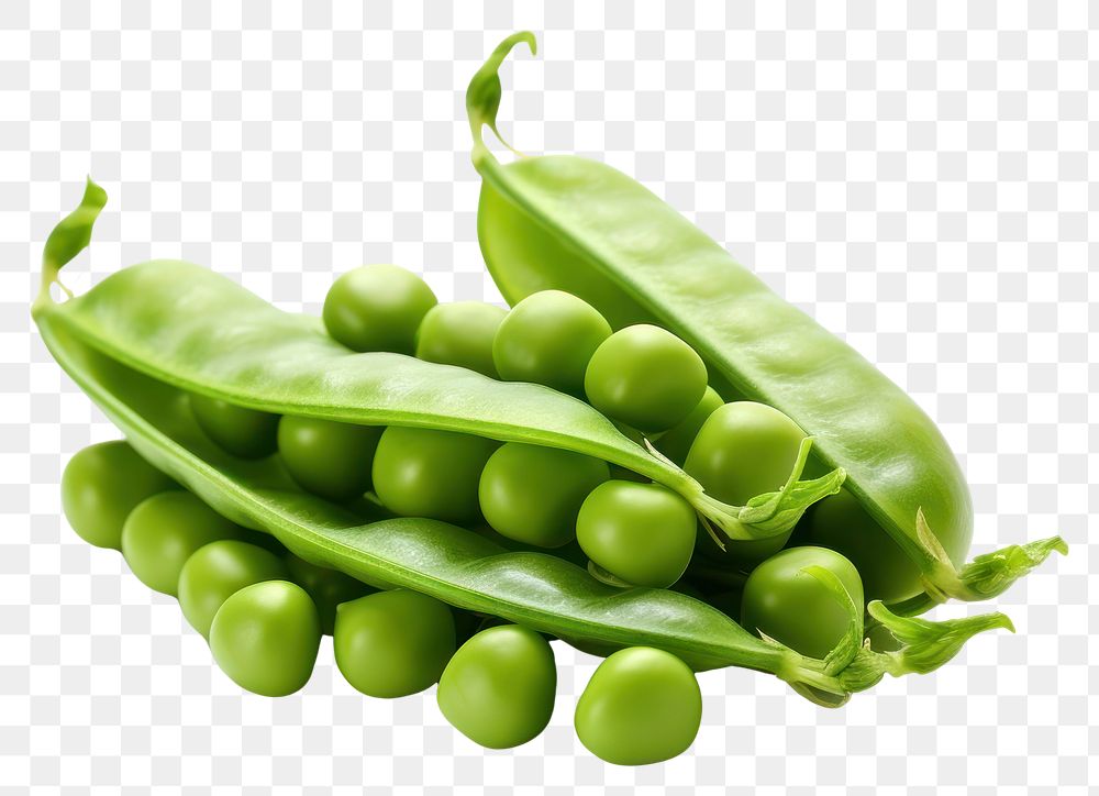 PNG  Green peas vegetable plant food. AI generated Image by rawpixel.