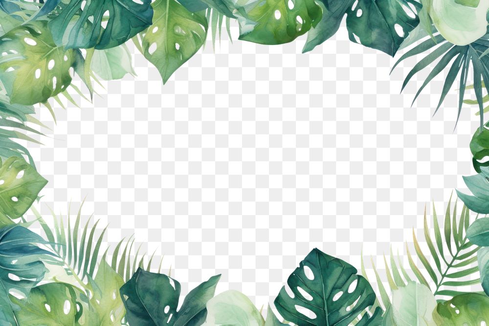 PNG Outdoors nature jungle plant. 