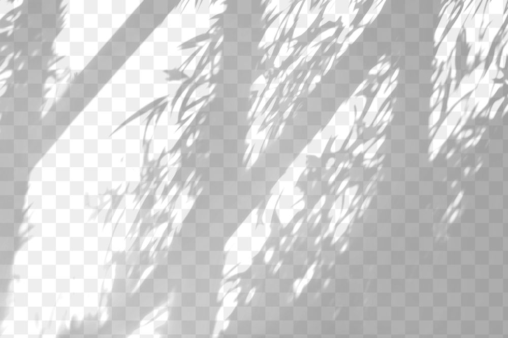 PNG Leaf shadow effect, transparent background