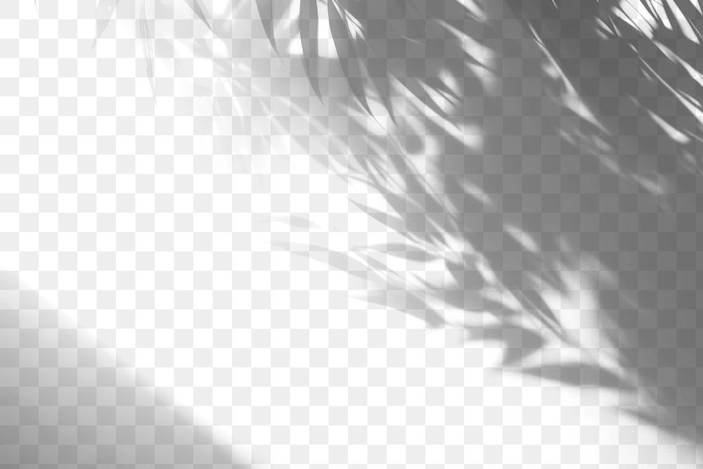 PNG Leaf shadow effect, transparent background