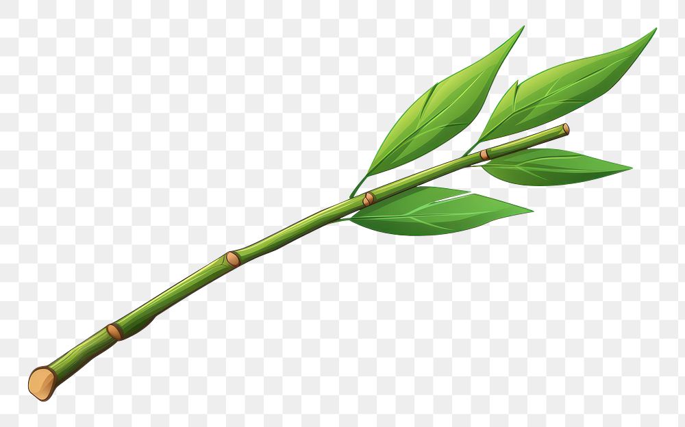 PNG Bamboo leaf plant white background. AI generated Image by rawpixel.