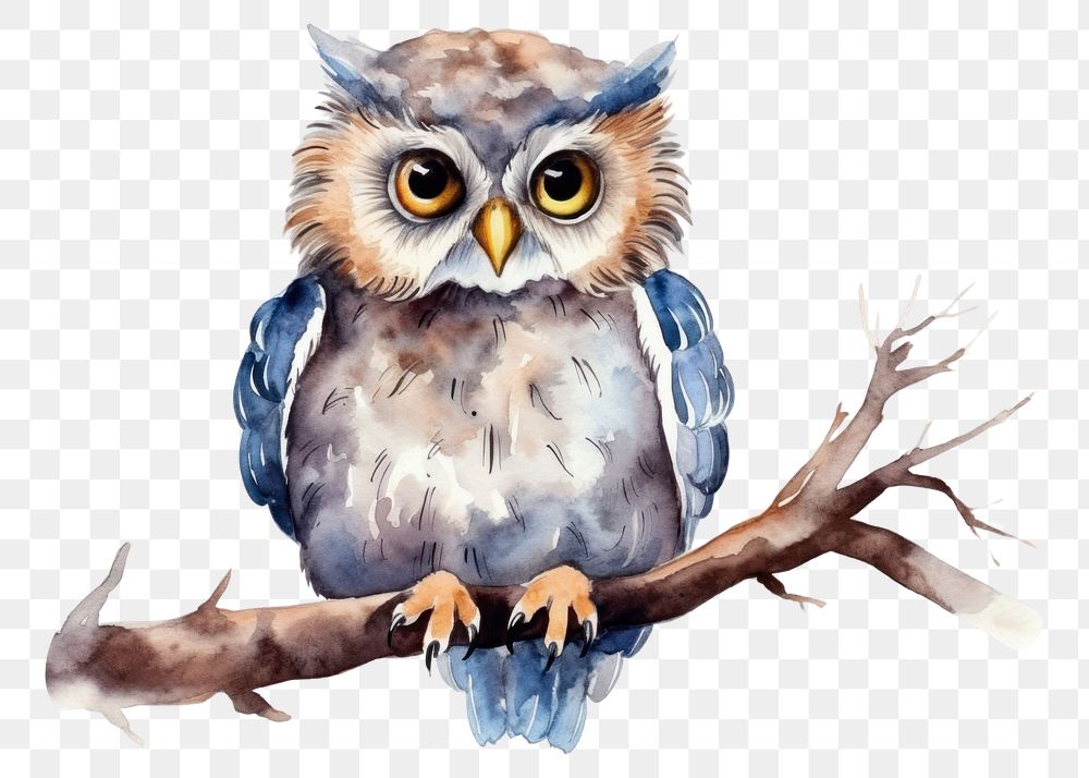 PNG Animal owl drawing cartoon. AI generated Image by rawpixel.