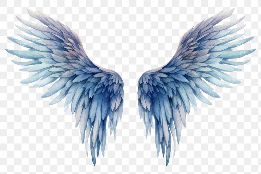 PNG Wings angel bird art