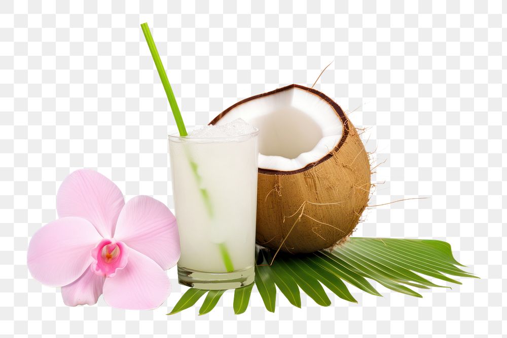 PNG Green coconut flower plant fruit. AI generated Image by rawpixel.
