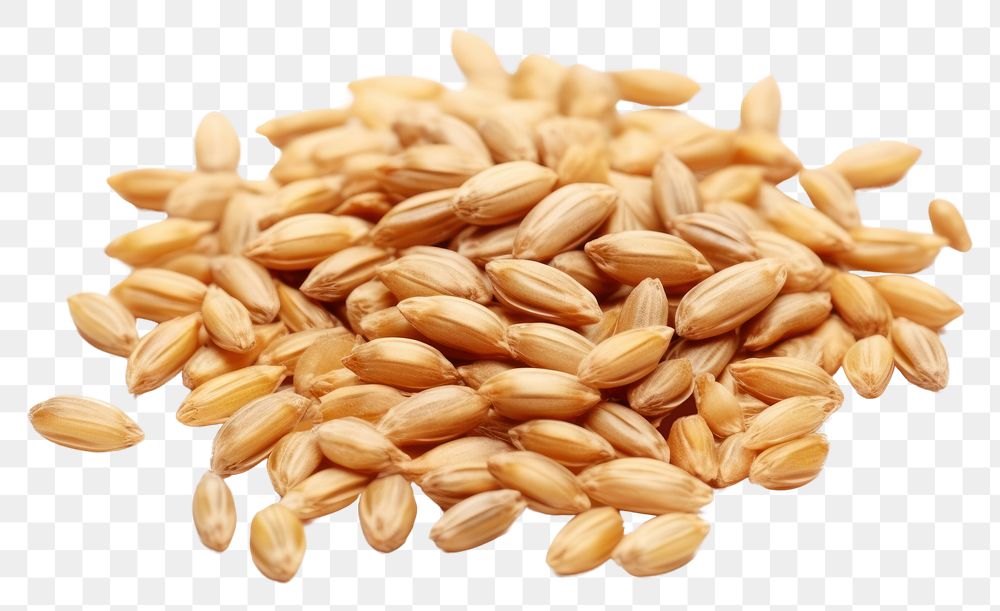 PNG Wheat grain food white background agriculture. AI generated Image by rawpixel.