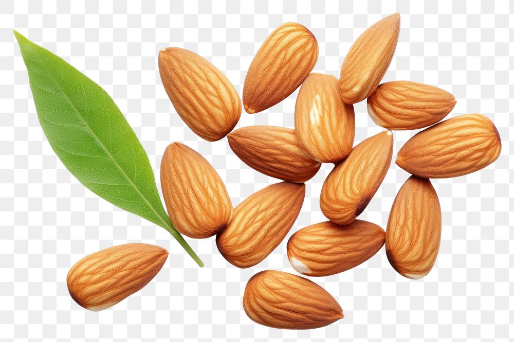 PNG Almonds almond food seed. AI generated Image by rawpixel.