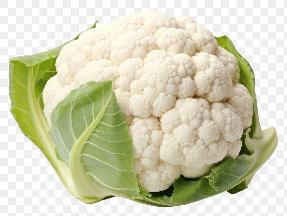 PNG  Cauliflower cauliflower vegetable plant. AI generated Image by rawpixel.