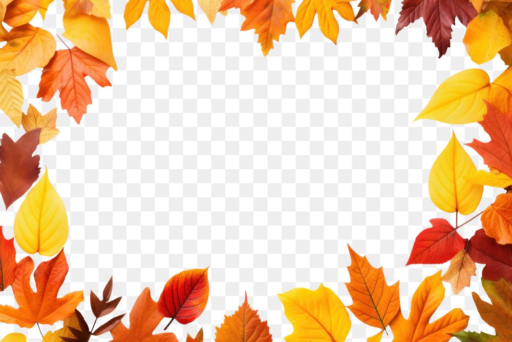 PNG Frame Of Autumn Leaves autumn backgrounds leaves. AI generated Image by rawpixel.