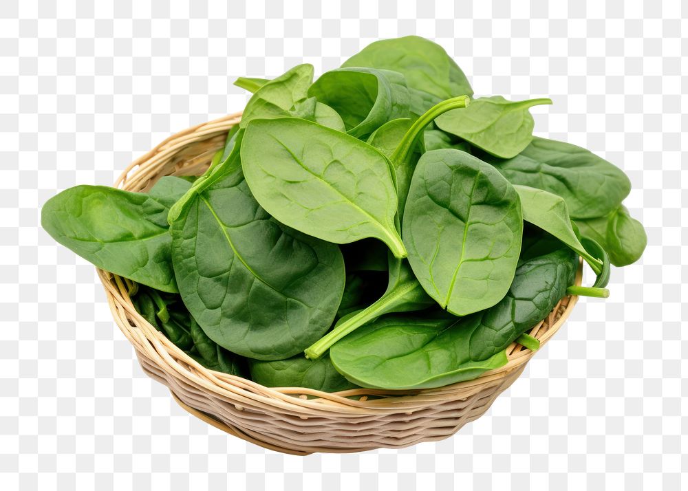 PNG Spinach vegetable basket plant. AI generated Image by rawpixel.