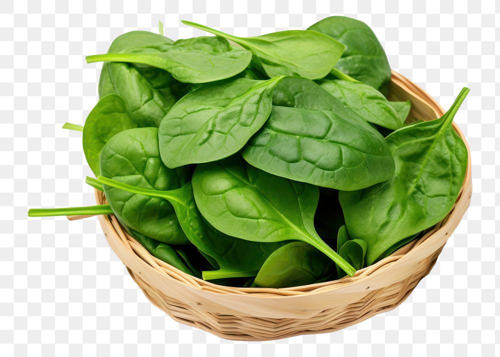 PNG Spinach vegetable basket plant. 