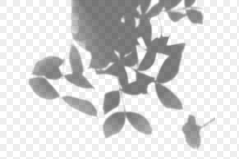 Shadow of leaves design element