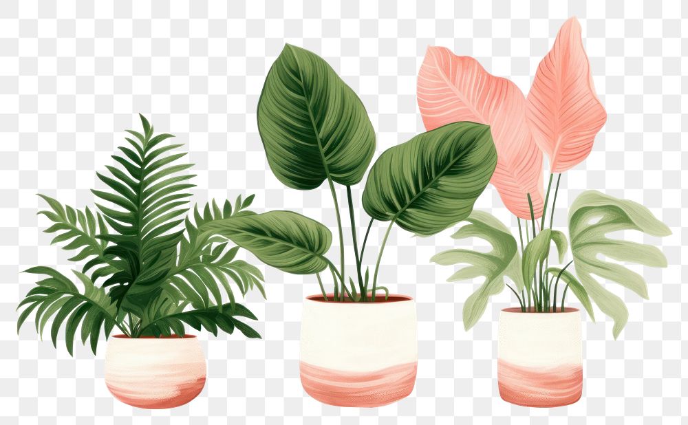 PNG Houseplants leaf vase creativity. AI generated Image by rawpixel.