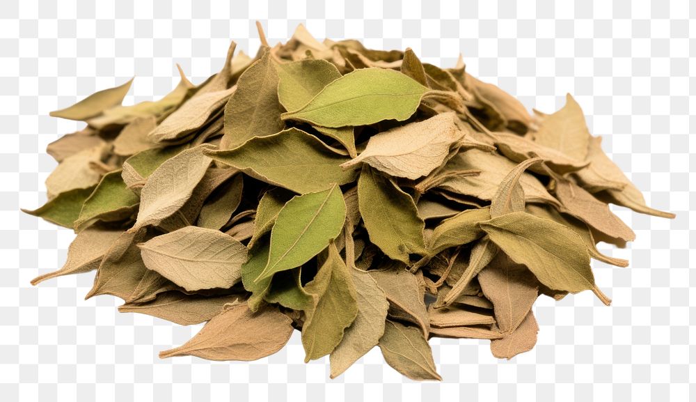 PNG Dried basil leaves spice plant herbs leaf. AI generated Image by rawpixel.