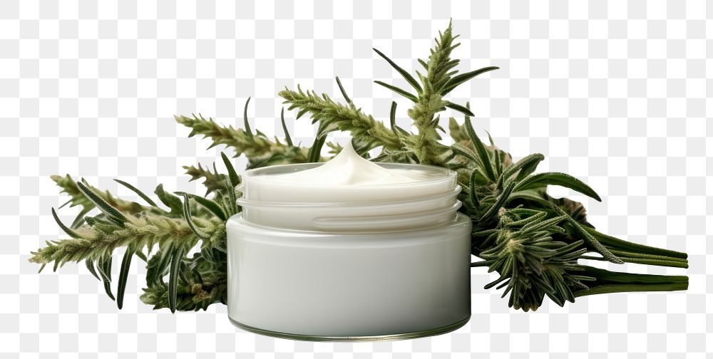 PNG  Mugwort skincare plant herbs jar. AI generated Image by rawpixel.