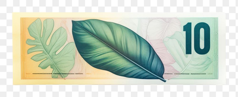 PNG  Banknote money plant leaf. AI generated Image by rawpixel.